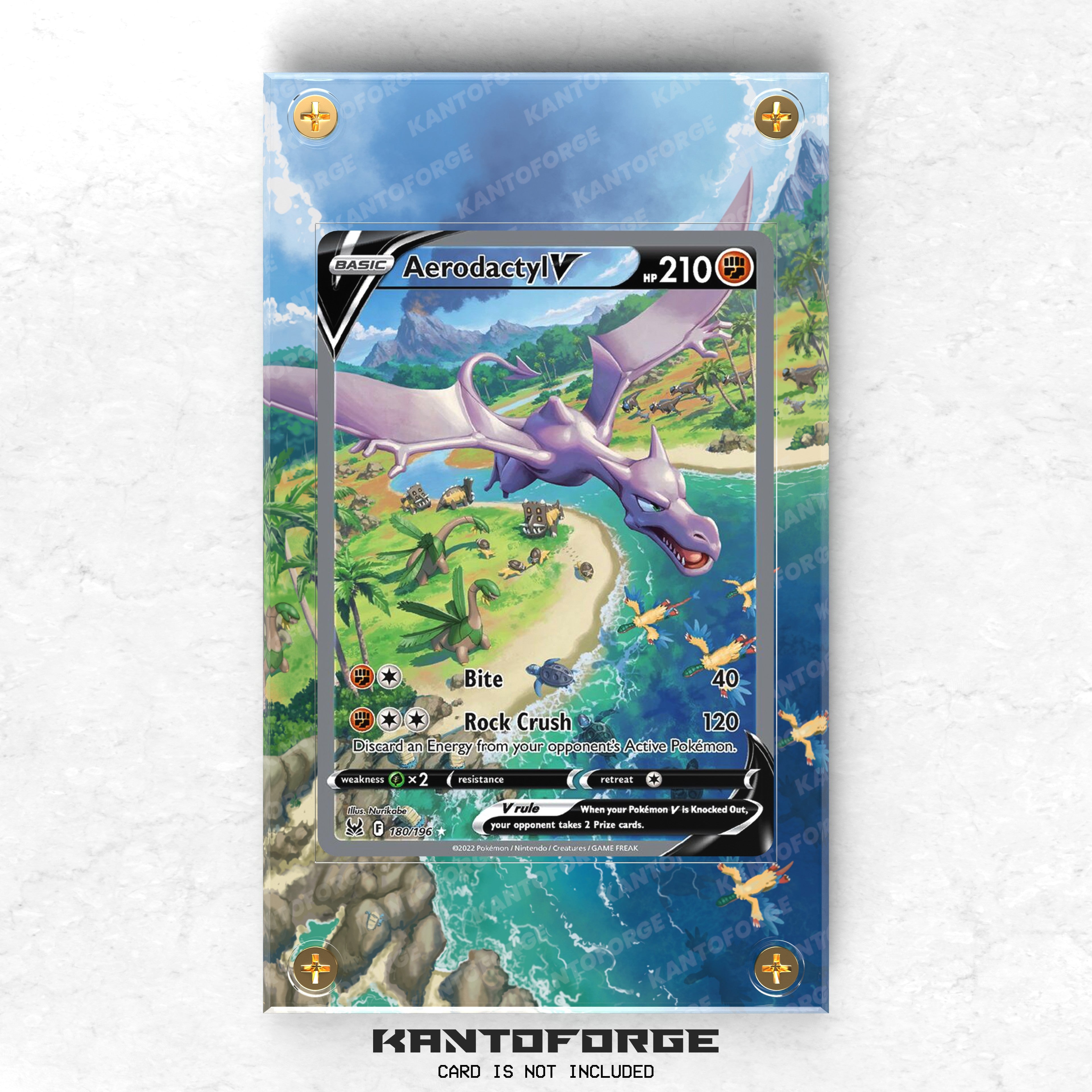 Aerodactyl V 180/196 - Pokémon Extended Artwork Protective Card Displa –  KantoForge