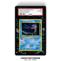 Shining Gyarados 065/64 - PSA Size Graded Card Case Extended Artwork Display with GradeGuardian Protection