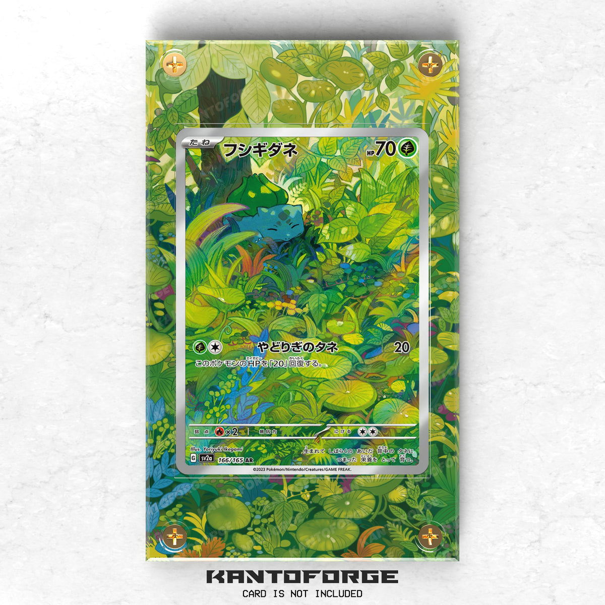 Bulbasaur (フシギダネ) 166/165 - Pokémon Extended Artwork Protective Card Display Case