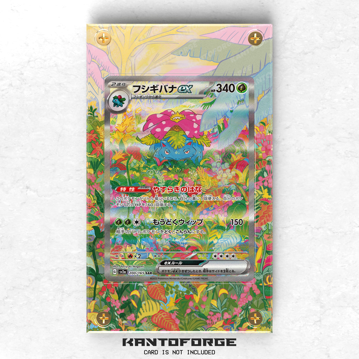 Venusaur ex (フシギバナ) 200/165 - Pokémon Extended Artwork Protective Card Display Case