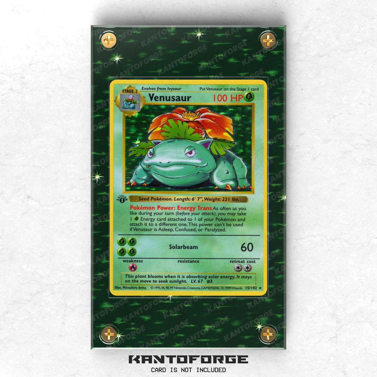 Venusaur Base Set 15/102 - Pokémon Extended Artwork Display Case