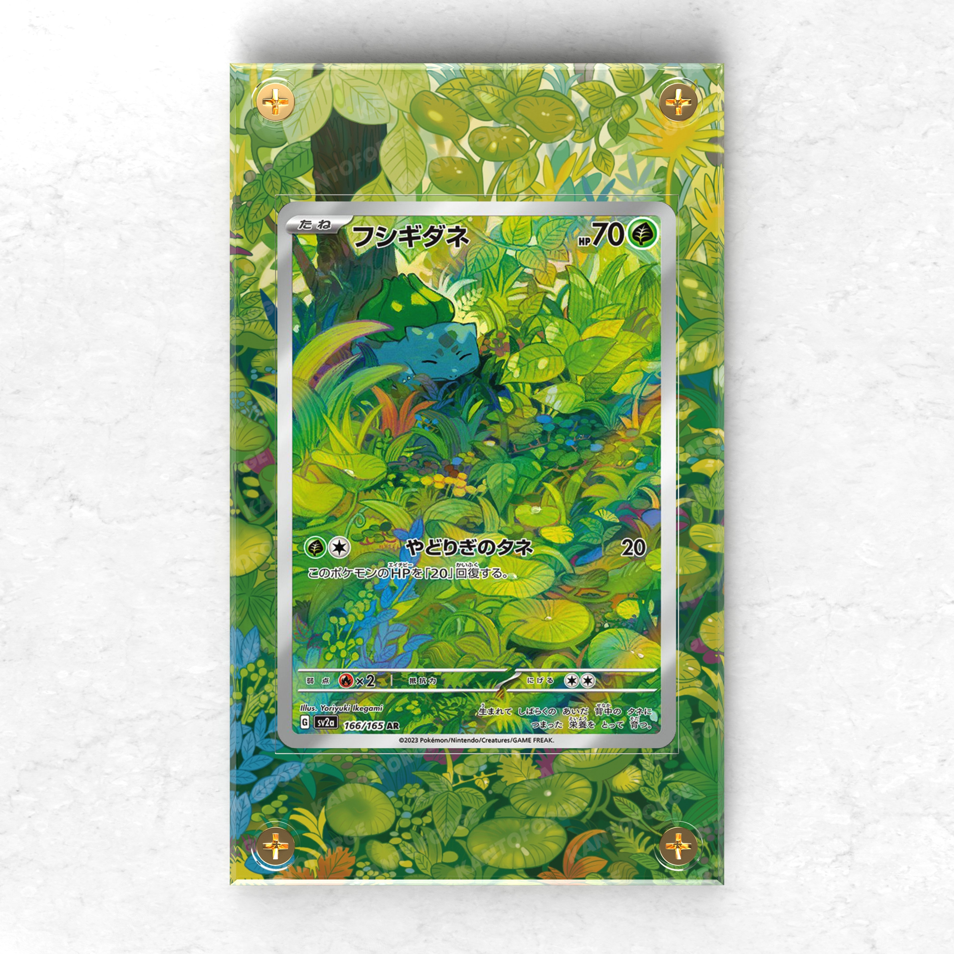 Bulbasaur Evo Line Bundle (Bulbasaur/Ivysaur/Venusaur) - Pokémon Extended Artwork Protective Card Display Case x3