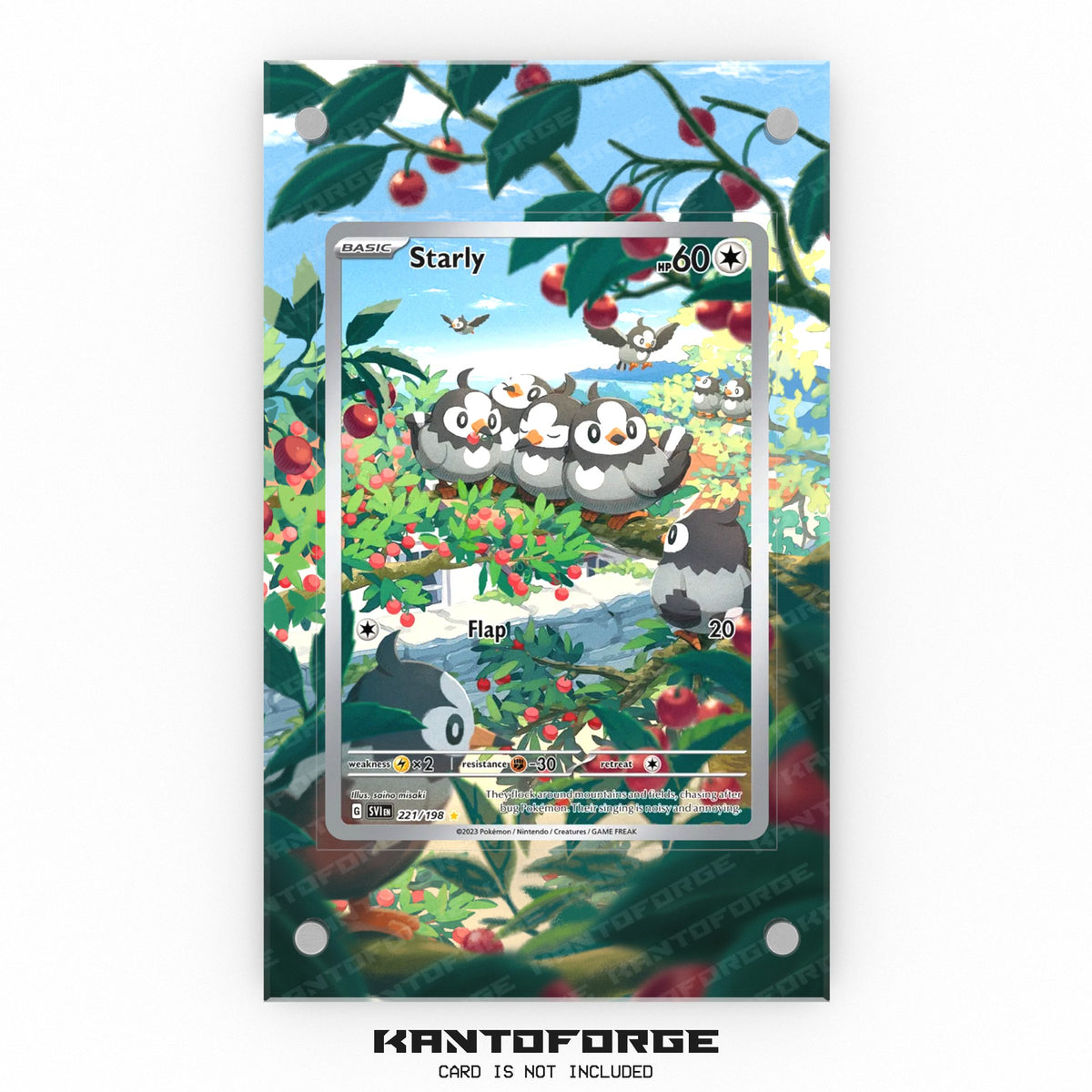 Starly 221/198 - Pokémon Extended Artwork Display Case