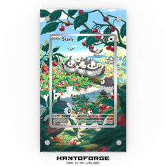 Starly 221/198 - Pokémon Extended Artwork Display Case