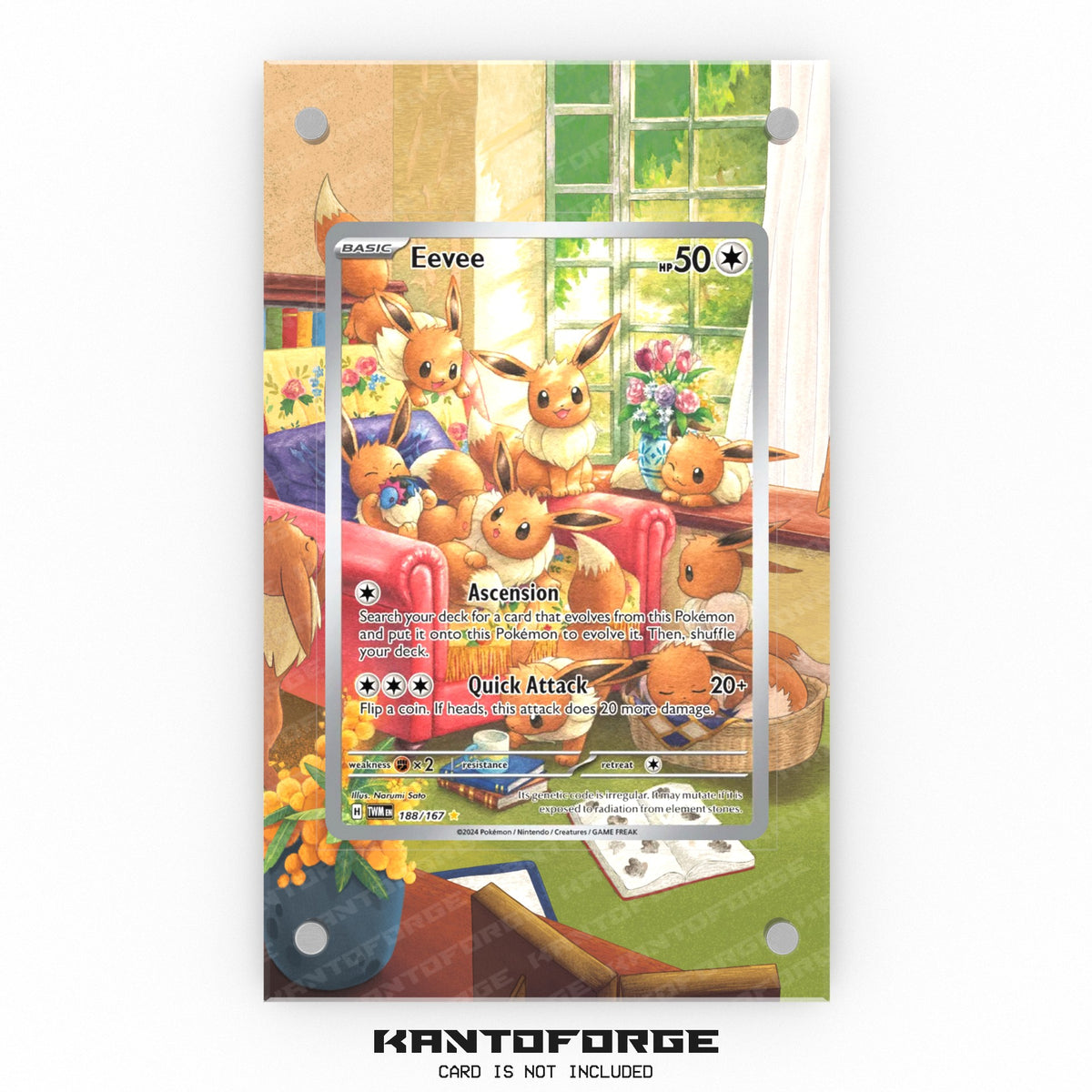 Eevee 188/167  - Pokémon Extended Artwork Display Case