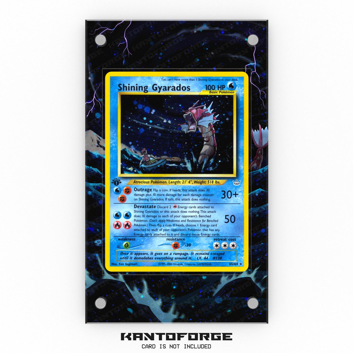 Shining Gyarados 065/064 - Pokémon Extended Artwork Display Case