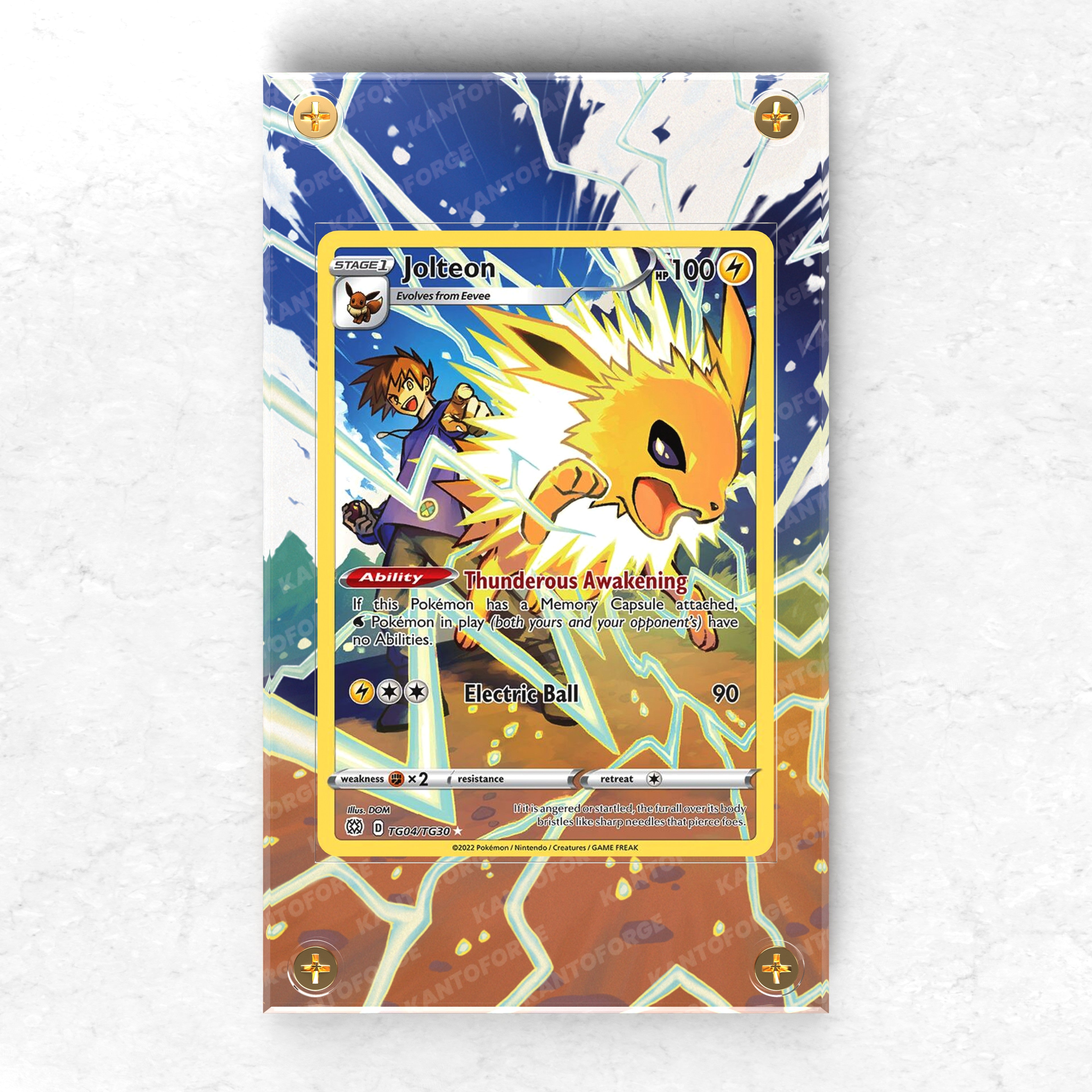 Eeveelution Trio Bundle - Pokémon Extended Artwork Display Cases