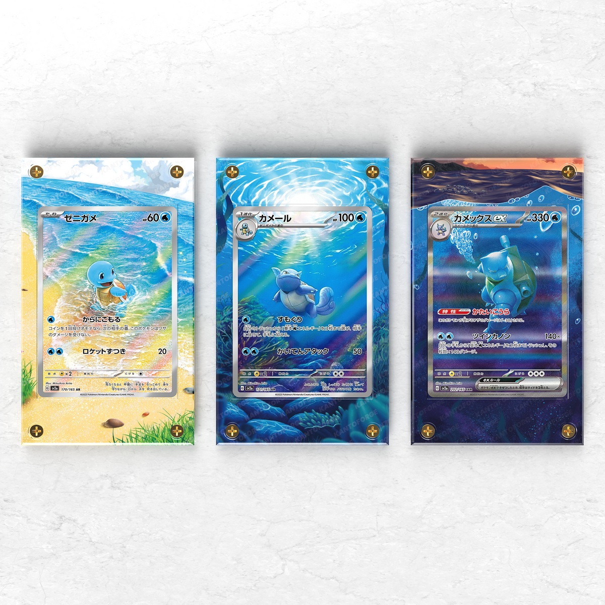 Squirtle Evo Line Bundle (Squirtle/Wartortle/Blastoise) - Pokémon Extended Artwork Display Case x3