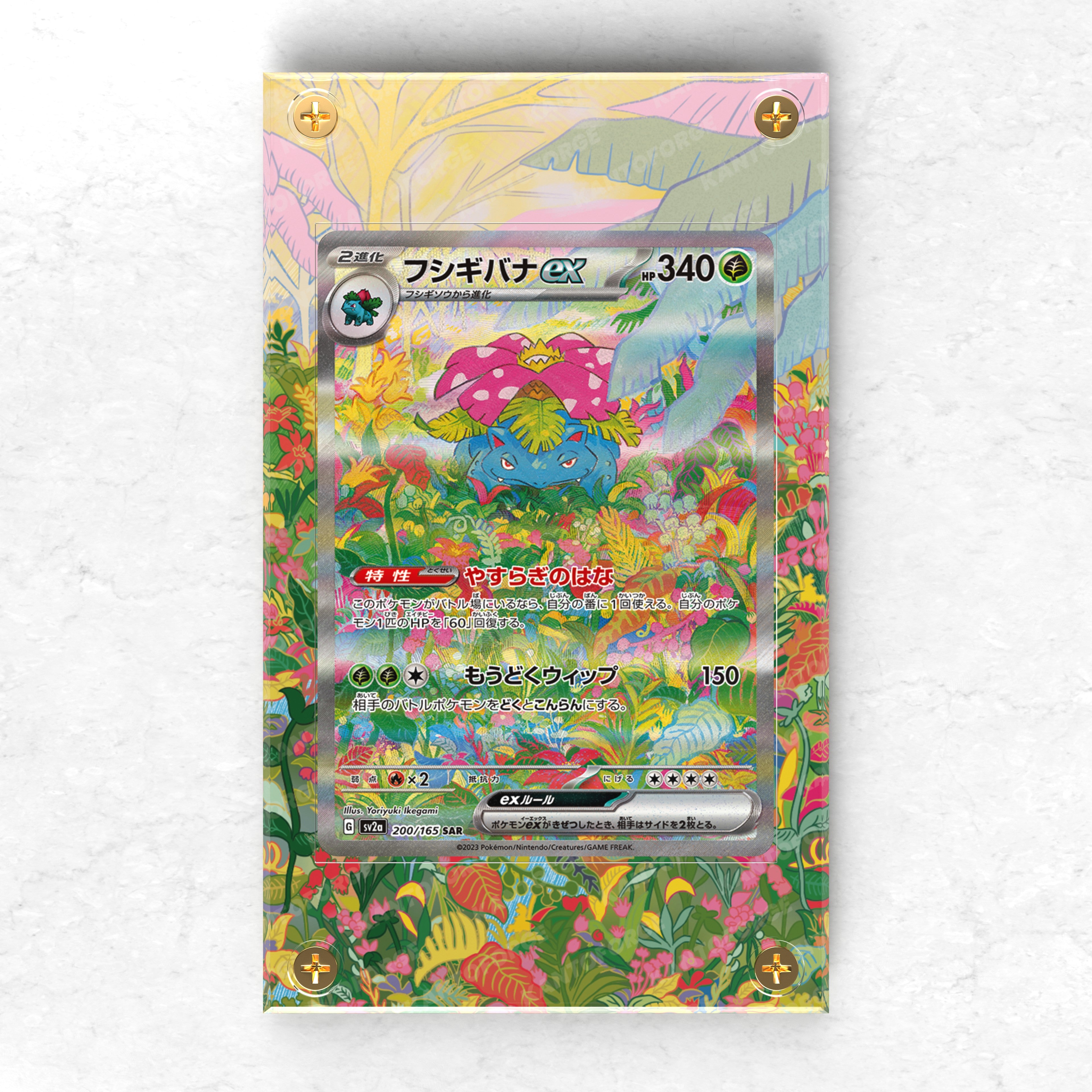 Bulbasaur Evo Line Bundle (Bulbasaur/Ivysaur/Venusaur) - Pokémon Extended Artwork Protective Card Display Case x3