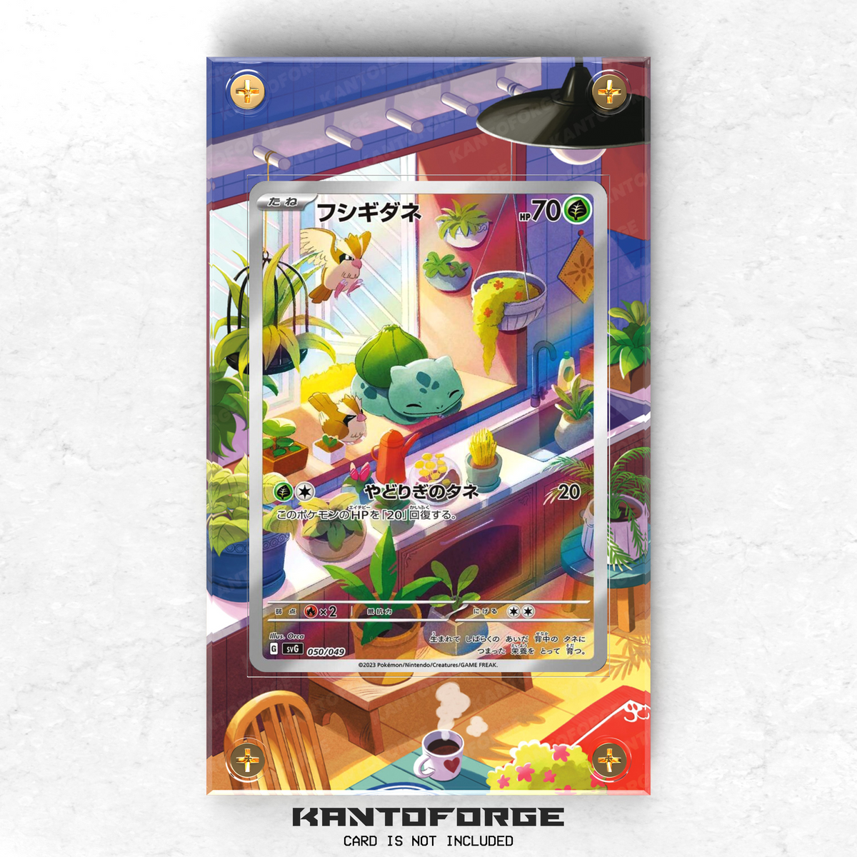 Bulbasaur フシギダネ 050/049 - Pokémon Extended Artwork Protective Card Display Case